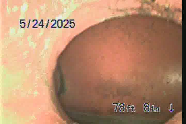 Frame